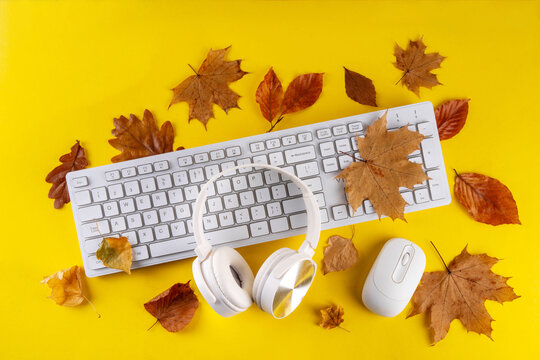 Autumn office work, education flatlay. Blogging, working, education concept