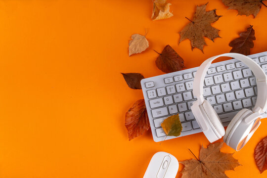 Autumn office work, education flatlay. Blogging, working, education concept
