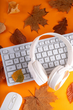 Autumn office work, education flatlay. Blogging, working, education concept