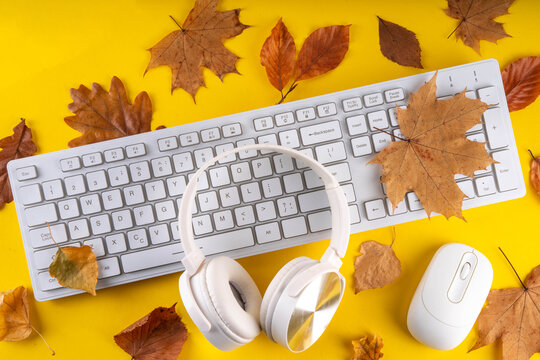 Autumn office work, education flatlay. Blogging, working, education concept