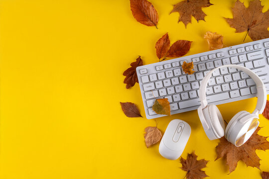 Autumn office work, education flatlay. Blogging, working, education concept