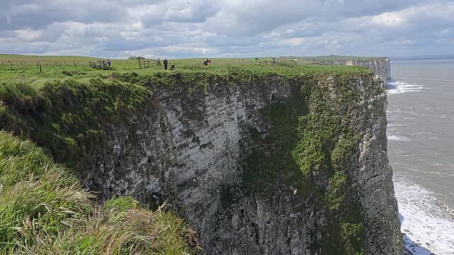 Panning shot, Seabird Haven on the Cliffs of Bempton, Landscape shots RSPB Bempton, North Yorkshire, May 2026, No Sound