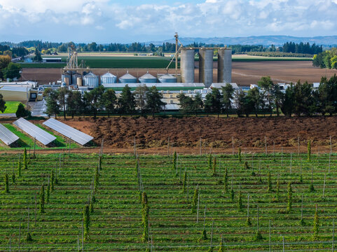 Aerial view of an egg farm with large silos, agricultural buildings, solar panels, and rows of crops in a rural landscape in Woodburn, Oregon, United States.