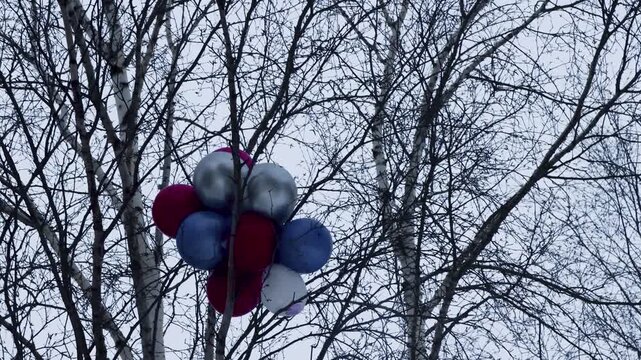 The thrown balls got stuck in the branches of a tree