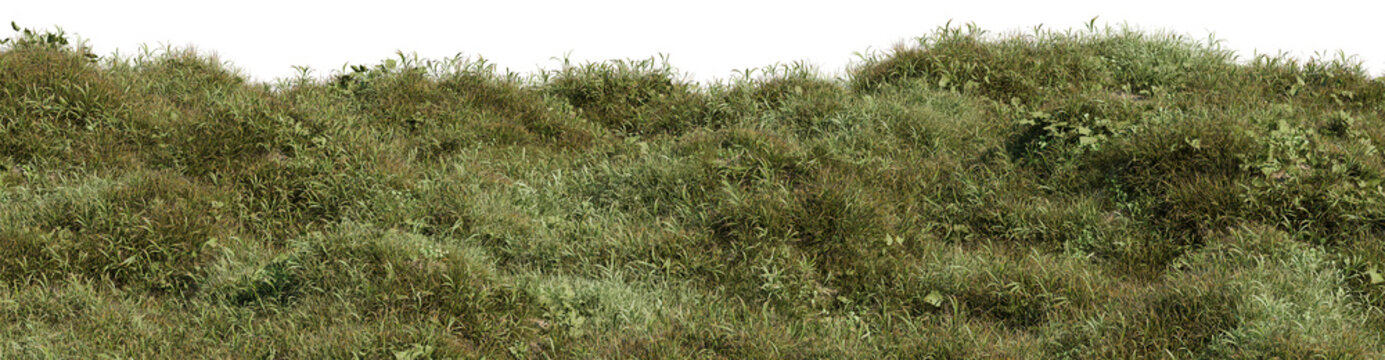 Realistic lush green wild grass field terrain isolated on transparent PNG background, 3d render illustration ideal for architectural visualization, nature landscape compositing