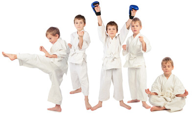 Five karate boys kick, meditate, pose with boxing gloves isolated on white, collage with one model © Pavel Losevsky