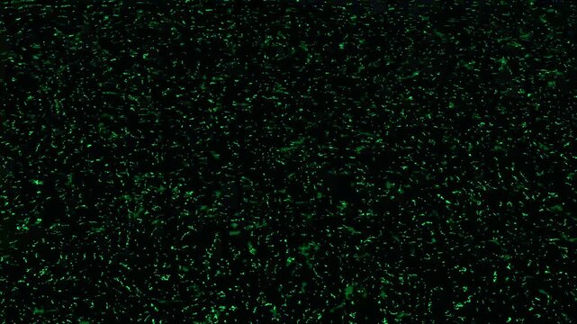 Textured background animation glimmers with fine ambient dust. Generative visual depth perspectives shape this textured background animation. Modern video artists use background.