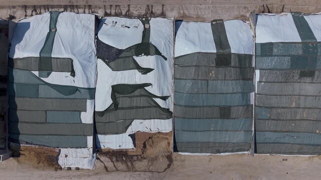 Aerial view of workers and agricultural machinery preparing stored silage in farm pits for cattle feed, illustrating livestock farming and agricultural operations in Lombardy, Italy.