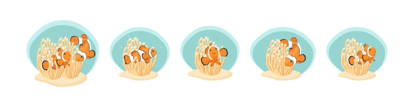 A vector set of cartoon illustrations featuring cute orange clownfish swimming around and hiding in beige sea anemones. 