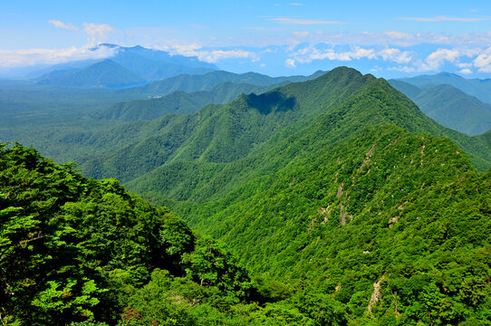 御坂山地の鬼ヶ岳より望む夏の王岳と毛無山と竜ヶ岳

