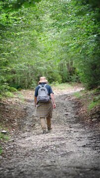 Female hiker with a backpack walking along a forest trail, enjoying an outdoor adventure and exploring nature during a hiking trip.