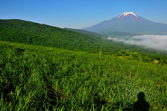 丹沢の鉄砲木ノ頭（明神山）より　夏草生い茂る山地より望む富士山
