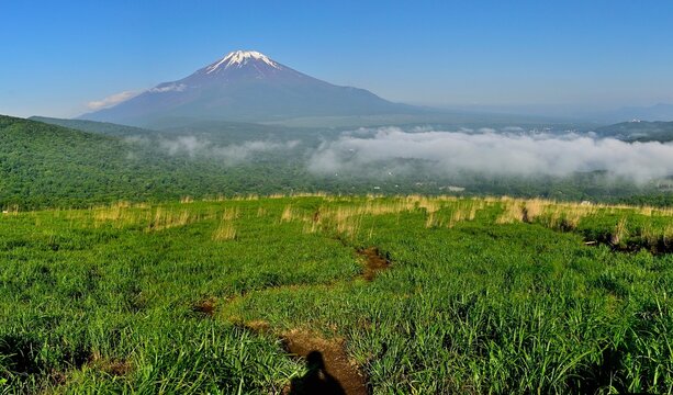 丹沢の鉄砲木ノ頭（明神山）より　夏草生い茂る山道と富士山
