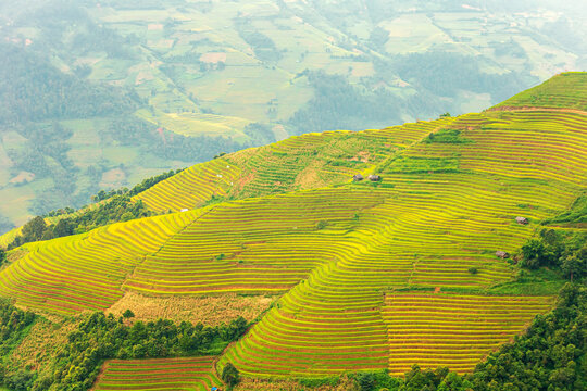 Breathtaking landscapes of terraced rice fields. Picturesque rice terraces of Mu Cang Chai  in Vietnam.