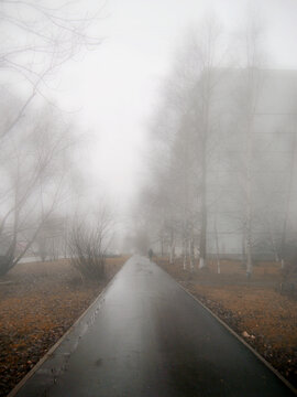 Autumn city November background with a long straight alley disappearing into thick fog and a lone unidentified person walking along the wet paved path