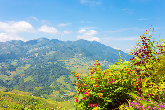 Breathtaking scenery of terraced rice fields. Picturesque rice terraces of Mu Cang Chai.