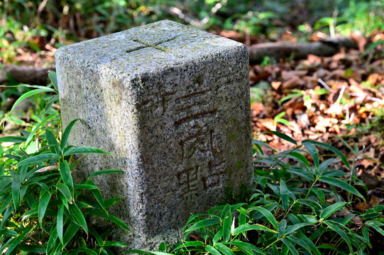 御坂山地　精進山（湖西山）山頂　三等三角点（西ノ入）
