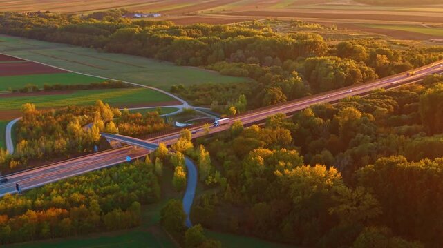 Road overpass spanning across autumn trees at dusk. Wide aerial view displays highway bridge through dense golden forest.
