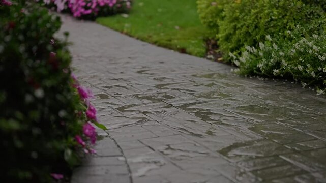 Raindrops falling on a wet stone garden pathway surrounded by vibrant blooming flower beds