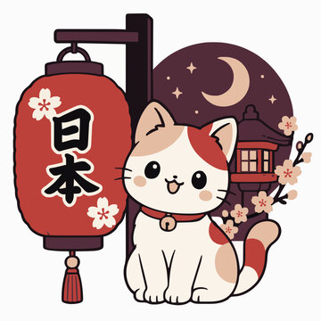 cat beside red japanese lantern at night