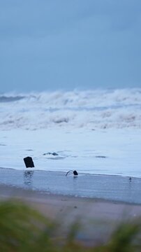 Ocean foam washing over beach shore with wooden debris in foreground. White sea froth covers wet sand under dim blue lighting behind blurred green grass.