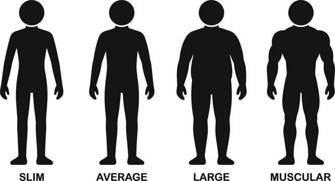Male Body Type Silhouette Icon Set Displaying Slim Average Large and Muscular Male Figures for Fitness Health and Fashion Design Variations