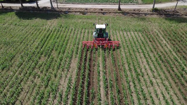 Tractor Cultivating Rows in Young Field