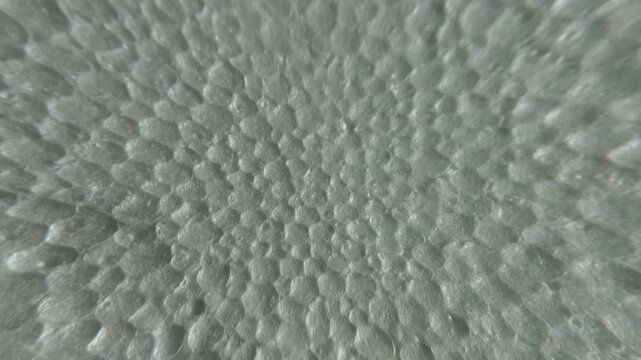 Abstract white styrofoam texture background with smooth upward motion.