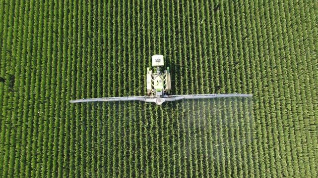 Top down view of crop sprayer working between corn rows