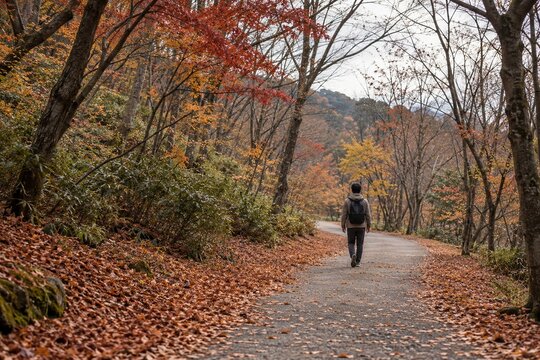 紅葉の終わりに落ち葉の遊歩道を歩く旅行者
