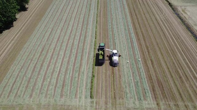 Aerial View of Forage Harvester Collecting Windrows