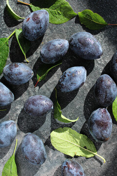 Fresh ripe plums with water droplets and green leaves on dark stone background under bright sunlight with high contrast shadows