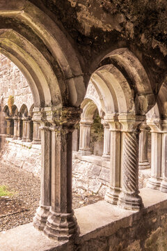 Stone arches in the cloister of the ruins of Sligo Abbey, in Sligo, County Sligo, Ireland