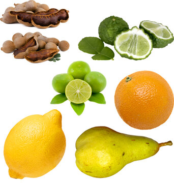 
Collection of fresh tropical and citrus fruits including tamarind, kaffir lime, lime, orange, lemon, and pear isolated on white background Vector Illustration 