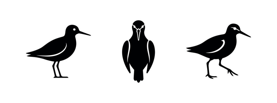 Sandpiper Shorebird Silhouettes Set Wading Bird Animal Icons