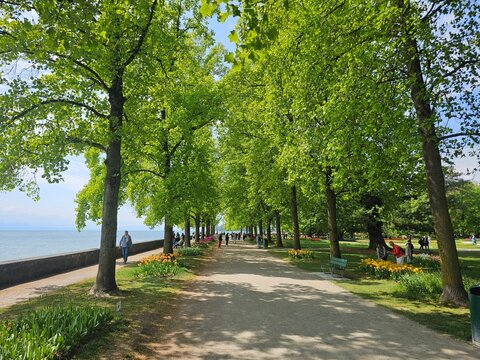 alley in the park at morges in switzerland