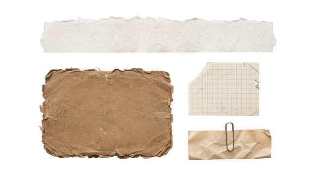 Collection of mixed torn paper pieces including white paper strip, kraft paper, grid note and small scrap with paperclip on transparent