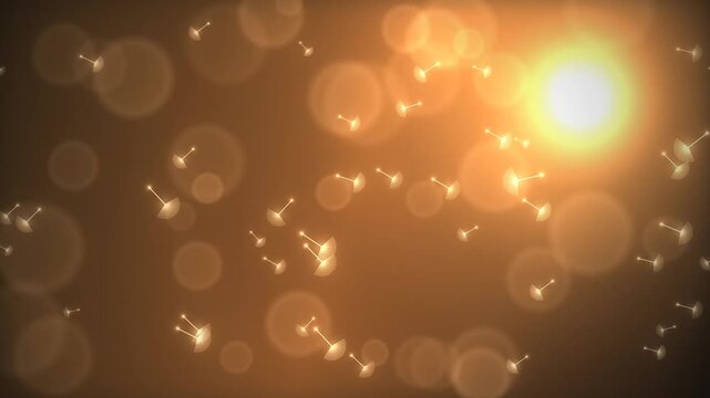 Dandelion seeds floating in golden light with bokeh effect, representing a gentle breeze and the start of new beginnings