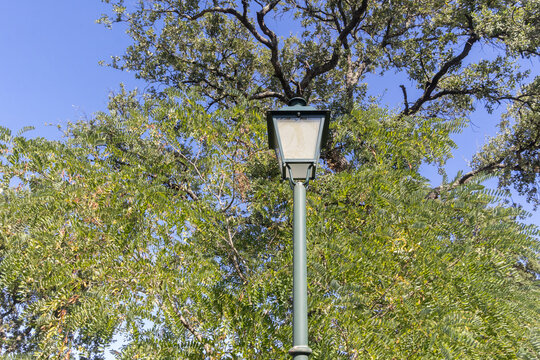 Park street lamp illuminating a clear blue sky