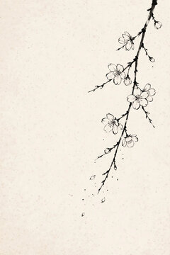 Cherry blossom branch drawn in traditional sumi e ink style on textured paper background.