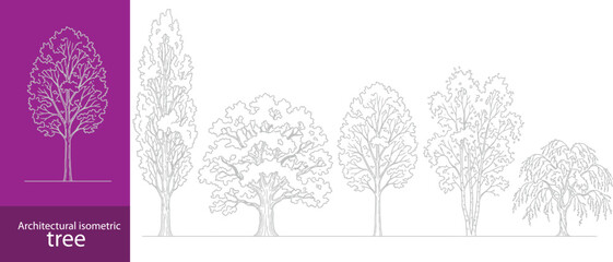 Fototapeta premium Architectural isometric tree collection displaying diverse deciduous foliage crowns and trunk line art elements for landscape axonometric and CAD rendering