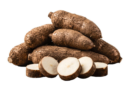 Fresh cassava on transparent background