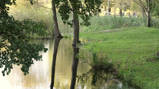 Trees by water with reflections in evening light and gentle breeze, people walking in background in public park