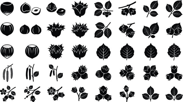 Comprehensive hazelnut and filbert icon collection featuring whole nuts, shelled kernels, leafy husks, leaves, and catkins in black vector silhouette