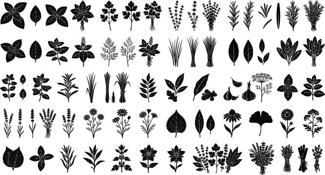 Culinary herbs silhouette icon collection, black botanical spices vector illustrations set, organic cooking leaf symbols for menu design isolated on Transparent Background