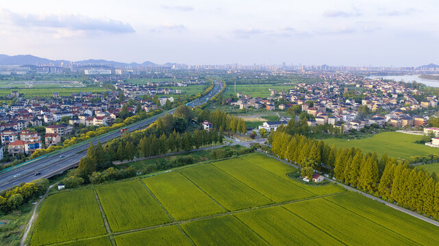 Aerial View of Green Fields, Rural Village, and Hangzhou City Skyline along Qiantang River
