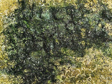 Weathered Stone Wall Texture with Moss and Lichen