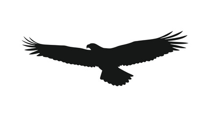 Obraz premium Soaring eagle with outstretched wings is depicted as a black silhouette bird raptor avian