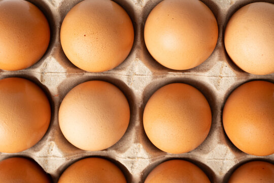 Close-up, paper carton of organic, brown, chicken eggs