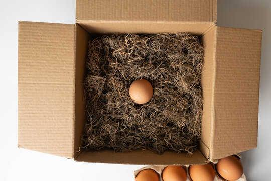 Plain, biodegradable, recyclable packaging concept.  Brown, paper box with natural, soft, clean, moss, padded protection for brown, organic eggs.